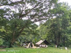 -广州市石门国家森林公园