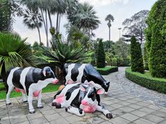 -东芭乐园