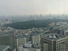 -东京都厅舍