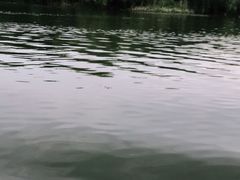 -长兴太湖图影湿地文化园