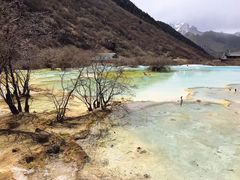 -黄龙山原始森林景区