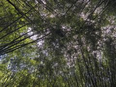 -英西峰林·洞天仙境