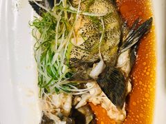 石斑鱼-宝燕海鲜(好爱店)
