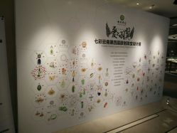 -北京七彩云南翡翠珠宝旗舰店(月坛店)