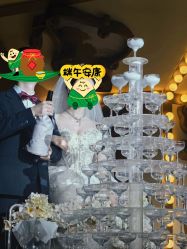 -花嫁丽舍婚礼殿堂(世博江景店)