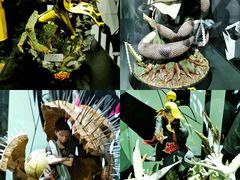 -火影忍者动画多媒体展