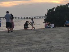 -宝安西湾红树林湿地公园