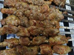 羊肉串-清之口·东乡鸡自助饺子(经二路店)