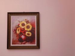 -美丽田园Beauty Farm