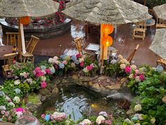 -伴山茶苑·围炉煮茶