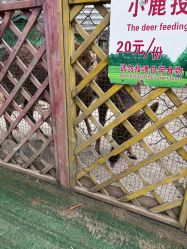 -萌宠亲子动物乐园(槐房万达店)