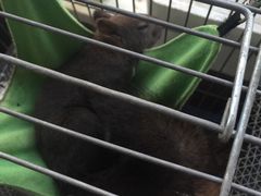 -MOJO密室逃脱(中街旗舰店)