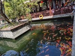 景观位-香山家宴