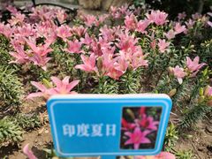 -文瀛公园