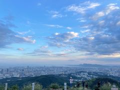 -长虫山生态公园风景林