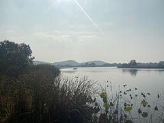 -东湖落雁景区