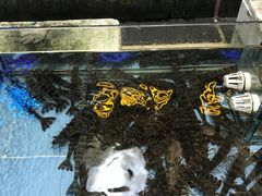 -宜宾海鲜酒家·三十年老字号