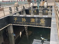 -中华人民共和国水准零点