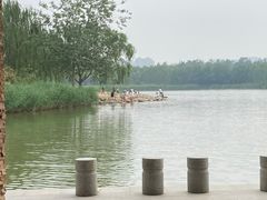 -大兴滨河森林公园