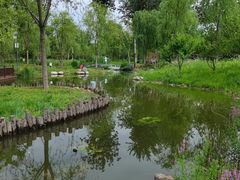 -莲花池公园