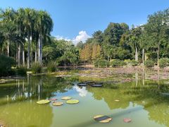 -中国科学院西双版纳热带植物园