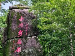 -汤旺河林海奇石景区