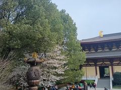 -庐山风景名胜区-东林大佛
