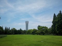 -上海滨江森林公园