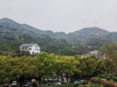 -龙井村
