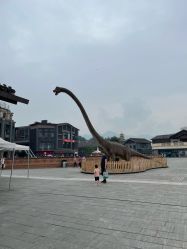 -恐龙探索乐园(磁器口店)