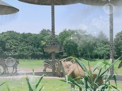 -宁波野生动物园