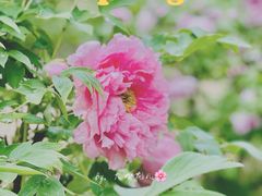 -国家植物园