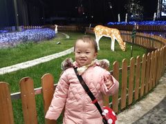 -浦东绿地铂骊酒店品珍轩中餐厅