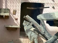 -青藏高原野生动物园