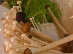 -君邦火锅(新疆大厦店)