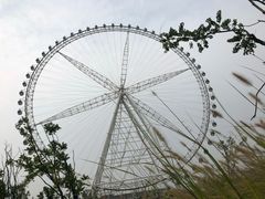 -祥源·阜阳生态乐园