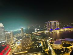 -新加坡瑞士史丹福酒店