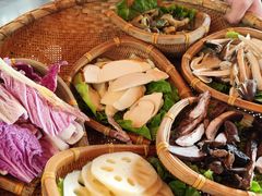 -滇野云南野生菌餐厅(陕西南路店)