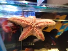 -沈阳海洋探索中心