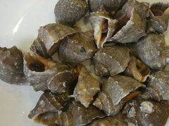 -渡海小渔村.老辈日照菜