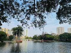 -荔湾湖公园