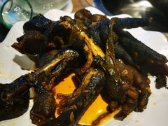 -老号尤兔头(幸福店)