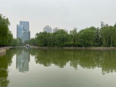 -团结湖公园
