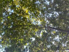 -楠溪江风景名胜区