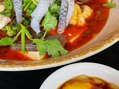 -芙蓉树下冒菜·麻辣烫(农院店)