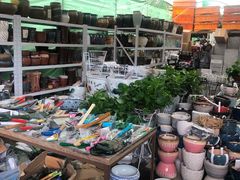 -金科花卉市场