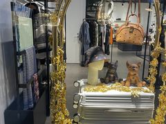 -MCM(比斯特上海购物村店)