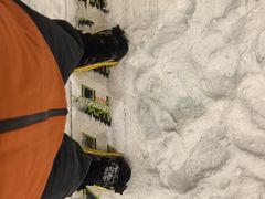 -绍兴启迪乔波冰雪世界