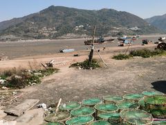 -北岐滩涂