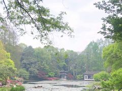 -杭州植物园